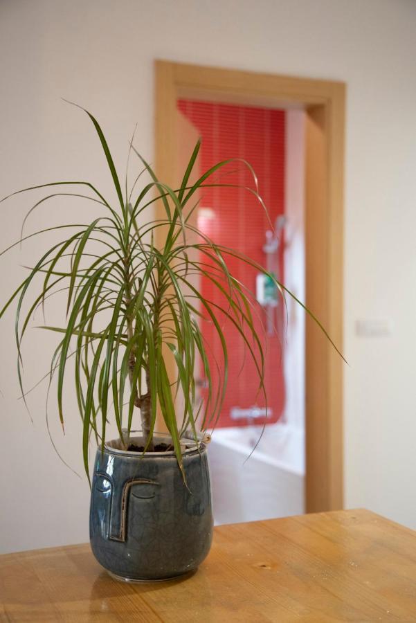 Sava Apartment 诺威萨 外观 照片
