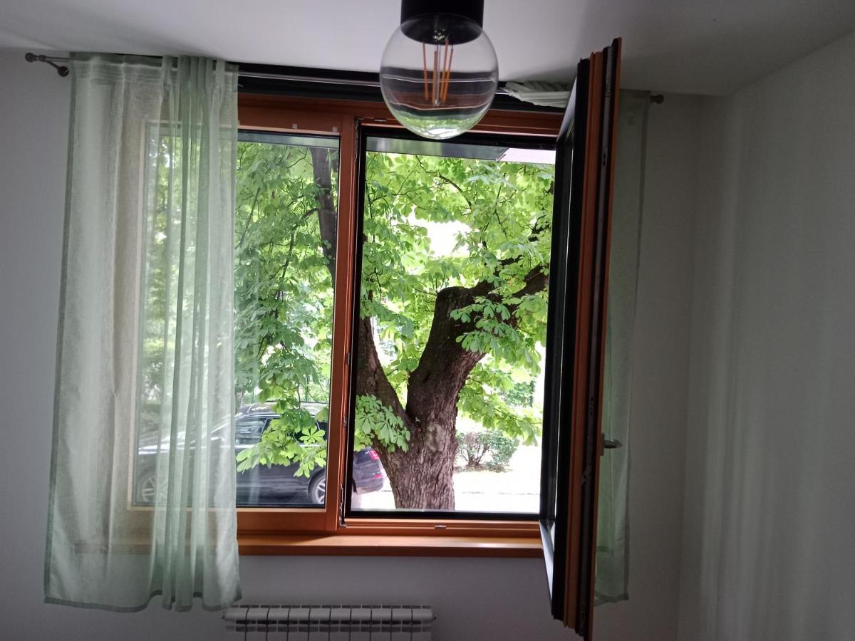 Sava Apartment 诺威萨 外观 照片